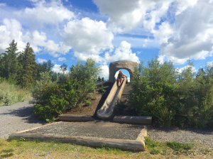 A child using a slide in the Spruce Grove Natural Playground n Spruce Grove's City Centre