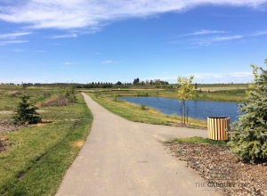 The Lakes and Trails in Deer Park, Spruce Grove, Alberta