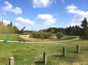 Park in Westgrove, Spruce Grove, Alberta