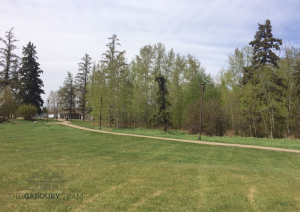 Park and Walking Trails in Forest Green, Stony Plain, Alberta