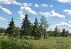 Greenspace in the community of Meridian Meadows in Stony Plain, Alberta